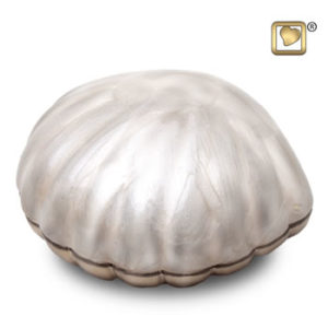 Pearl shell with fawn tone